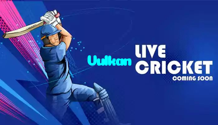 available types of Vulkan bet including pre-match live express and system bets